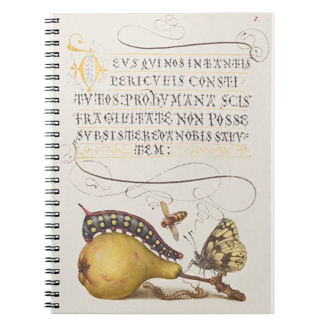 Fliegen, Raupe, Birne und Zentipede aus Mira Notizblock (Vorderseite)