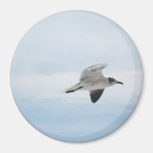 Fliegen-Seemöwe Magnet