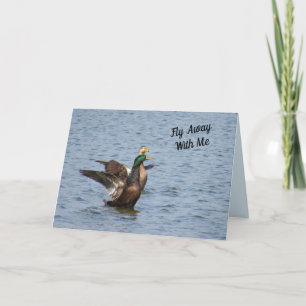 Fliegen Sie mit mir weg - Mallard Duck Valentines Karte