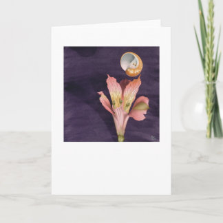 Fliegen sternenklar karte