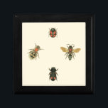 Fliegen und Käfer von Vision Studio Geschenkbox<br><div class="desc">Dieser Vision Studio-Druck ist vielleicht nur für Insektenliebhaber geeignet! Fliegen und Käfer versammeln sich auf einem cremefarbenen Hintergrund,  gerahmt durch einen schwarzen Rand. Wenn Sie in Entomologie sind,  oder jemanden kennen,  der ist,  ist das ein großartiges Stück!</div>
