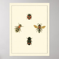 Fliegen und Käfer von Vision Studio