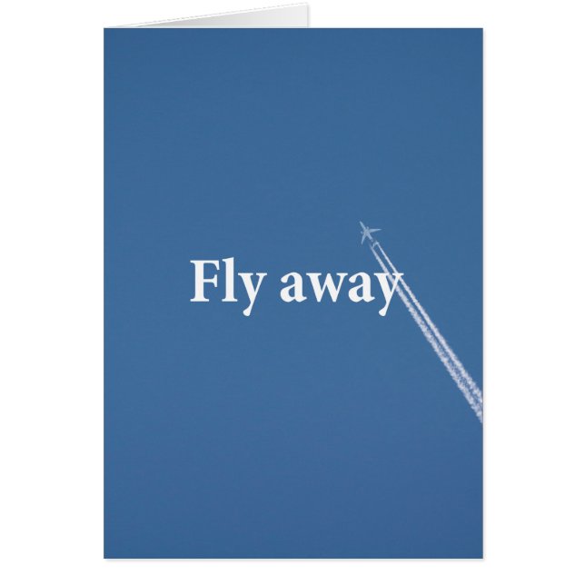 Fliegen weg (Vorne)