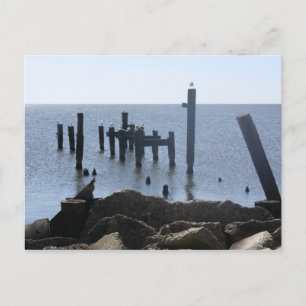 Fliegen weg kreolische Flusspostkarten Postkarte