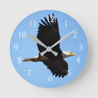Fliegen wie ein Adler