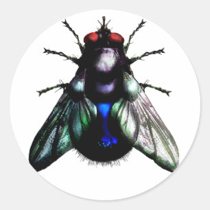 Fliegenaufkleber Runder Aufkleber