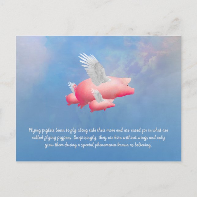 Fliegende Ferkel Postkarte (Vorderseite)