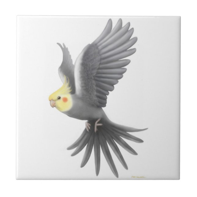 Fliegende graue Cockatiel-Papageien-Fliese Fliese (Vorderseite)