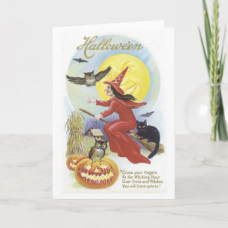 Fliegende Hexe, Fledermäuse, Katze, Eule Karte
