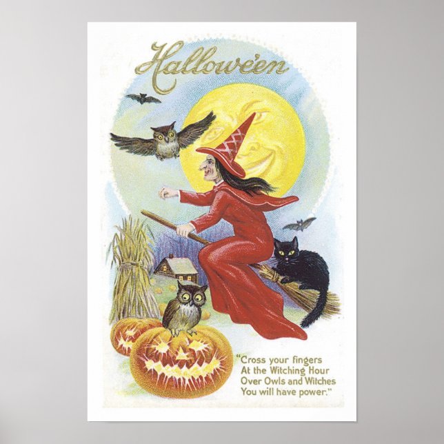 Fliegende Hexe, Fledermäuse, Katze, Eule Poster (Vorne)