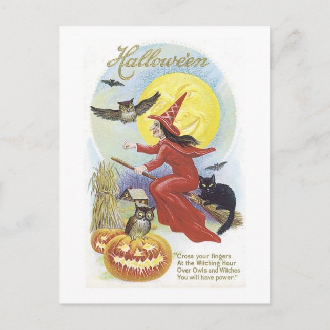 Fliegende Hexe, Fledermäuse, Katze, Eule Postkarte (Vorderseite)