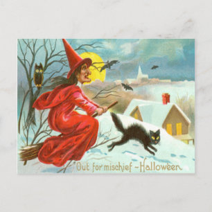 Fliegende Hexe Schwarze Katze Eule Fledermaus Schn Postkarte