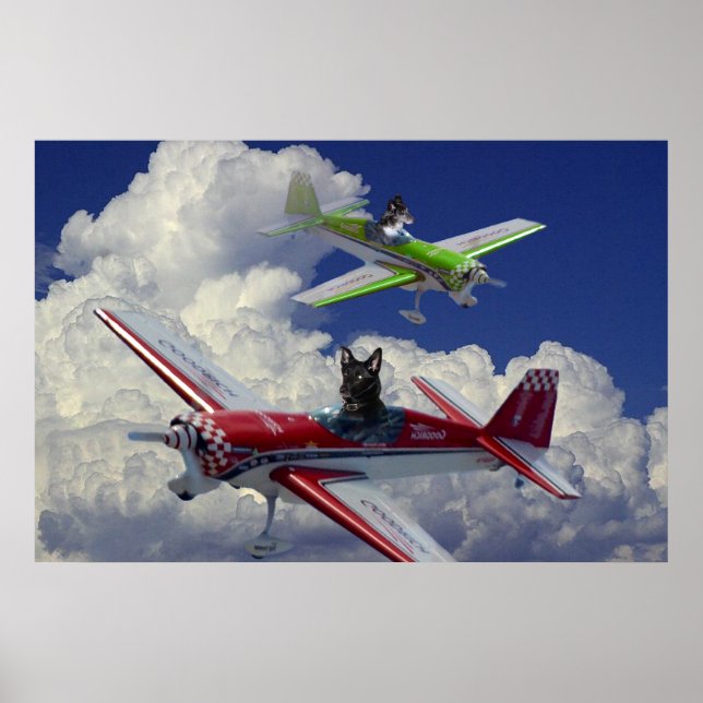 Fliegende Hunde 5 Poster (Vorne)
