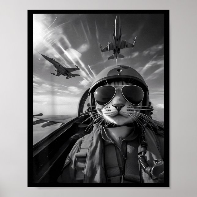 Fliegende Katze Selfie Lustiger Kampfjetpilot Meme Poster (Vorne)