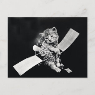 Fliegende Kitty Vintage Schwarz und Weiß Postkarte
