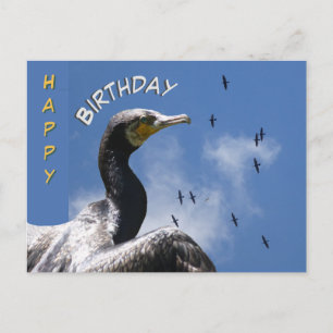 Fliegende Kormorane Happy Birthday Postkarte