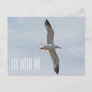 Fliegende Möwe Postkarte