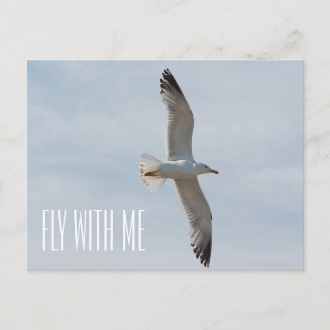 Fliegende Möwe Postkarte (Vorderseite)