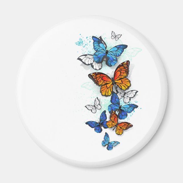 Fliegende Schmetterlinge Morpho und Monarch Magnet (Vorne)