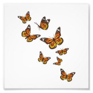 Fliegende Schmetterlinge - Schmetterling Lover Gar Fotodruck