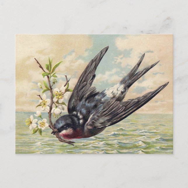 Fliegende Schwalbe mit Blumenast Postkarte (Vorderseite)
