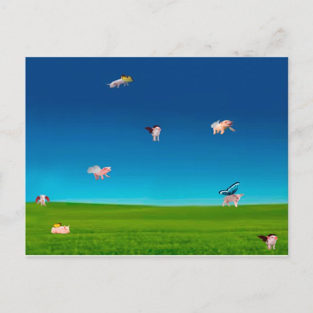 Fliegende Schweine Postkarte (Vorderseite)