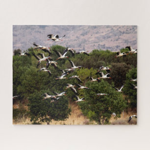 Fliegende Störche, Puzzle