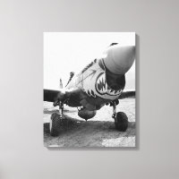 Fliegende Tiger P-40 Warhawk, 1941