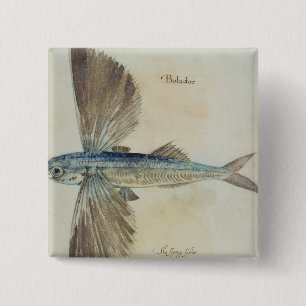 Fliegender Fisch Button