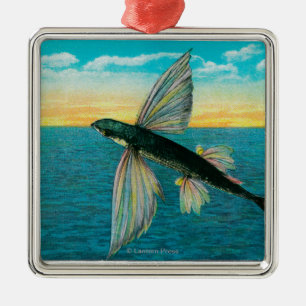 Fliegender Fisch in Catalina-Insel Silbernes Ornament