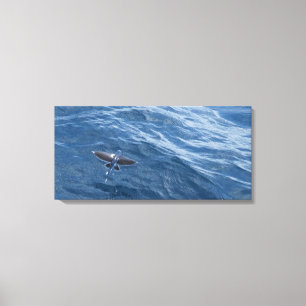 Fliegender Fisch Leinwanddruck