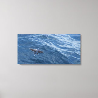 Fliegender Fisch Leinwanddruck