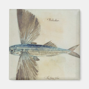 Fliegender Fisch Magnet