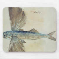 Fliegender Fisch