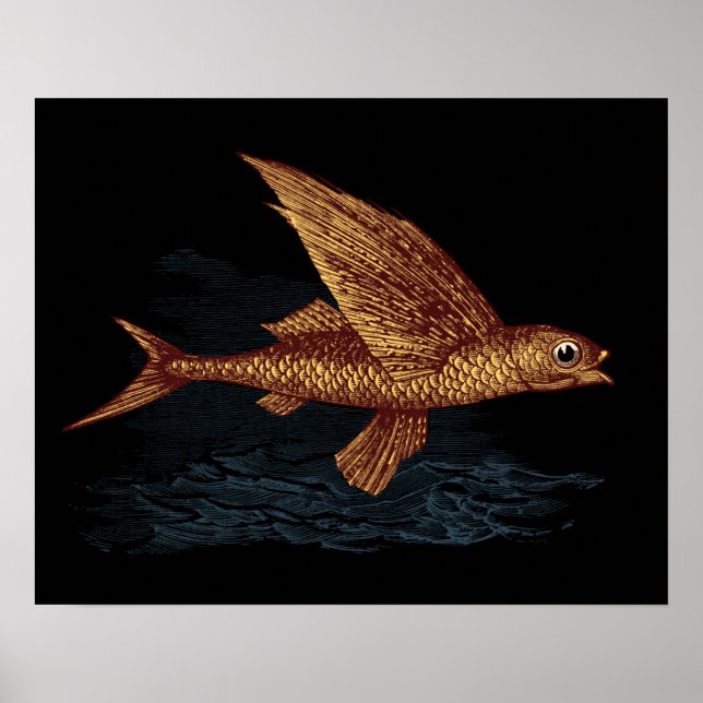 Fliegender Fisch Poster (Vorne)
