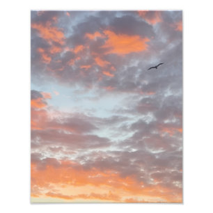 Fliegender Vogel in rosa Wolken Fotoabzug Fotodruck