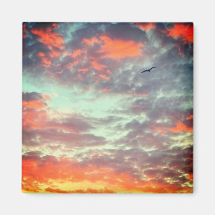 Fliegender Vogel in Wolken Foto Magnet