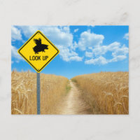 Fliegendes-Schwein-Wegweiser-Postkarte