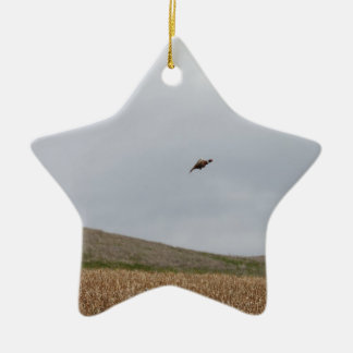 Fliegenfasan Keramikornament