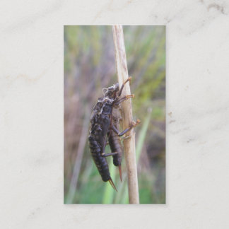 Fliegenfischen-Führerkarte Visitenkarte