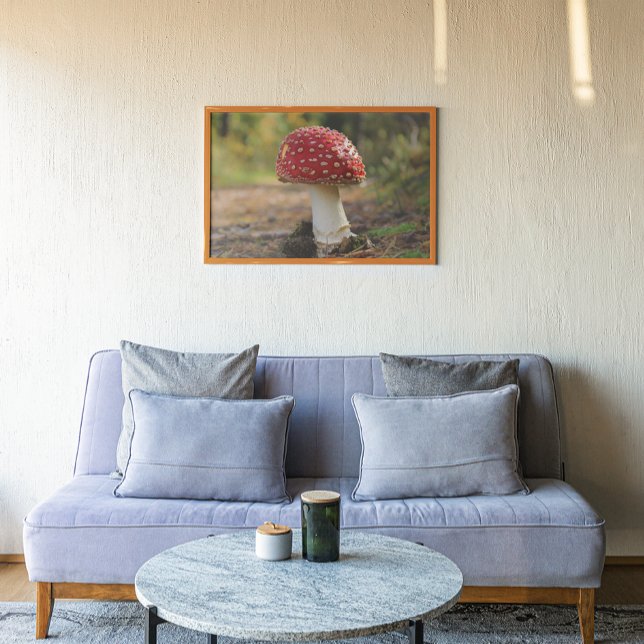 Fliegenpilz im Wald  Kunstvolles Poster (Von Creator hochgeladen)