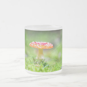 Fliegenpilz Mattglastasse