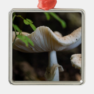 Fliegenpilz Schirm Ornament Aus Metall
