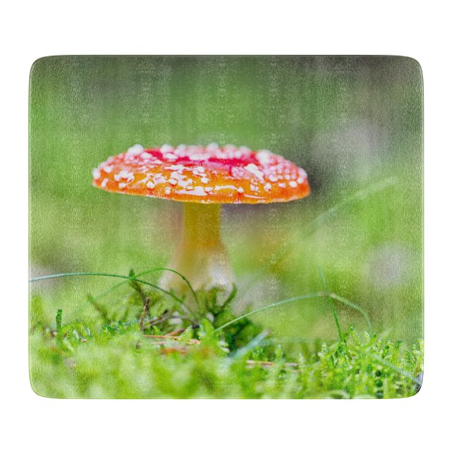 Fliegenpilz Schneidebrett (Vorderseite)