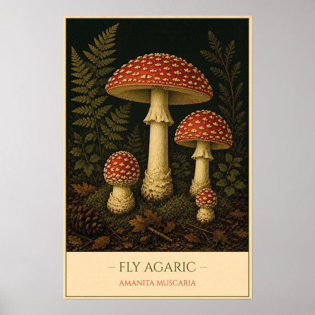 Fliegenpilz – Vintage Botanische Illustration Poster (Vorne)