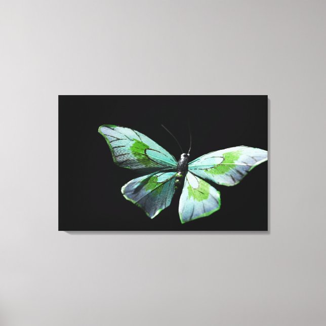 Fliegenschmetterling Leinwanddruck (Vorderseite)