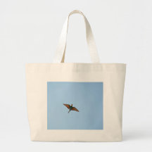 Fliegenschnäpper