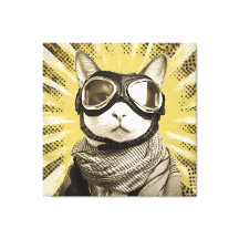 Fliegerkatzenbrille Sonnenexplosion Porträt