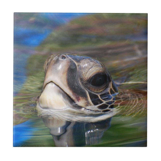 Fliese - besonders angefertigt (Vorderseite)