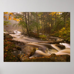 Fließende Bäche Appalachian Trail Vermont Poster